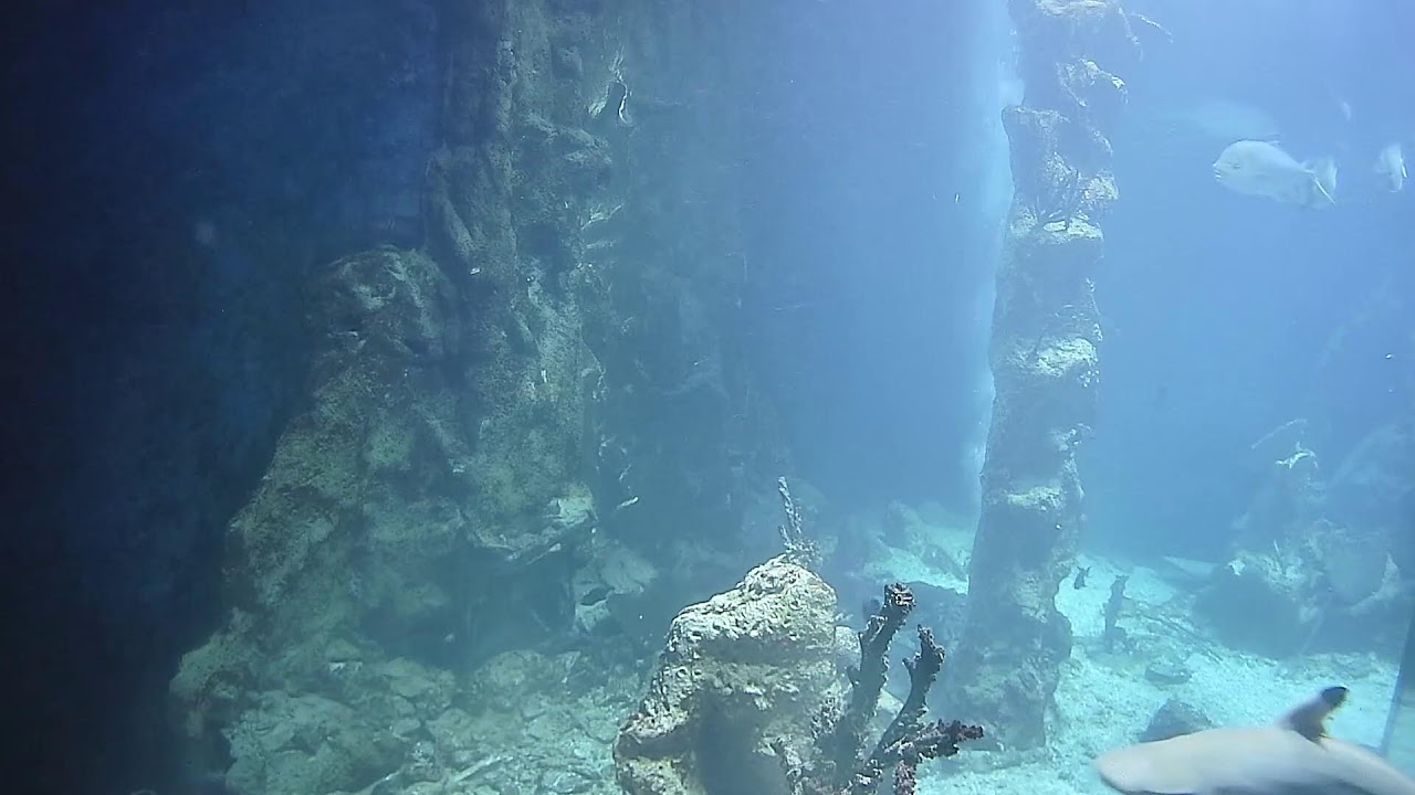 Аквариум Дом моря