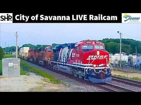 Savanna Railway Tracks — Freight Traffic
