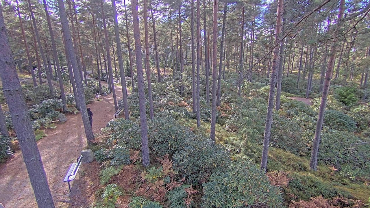 Alpine Rose Park in Raisio