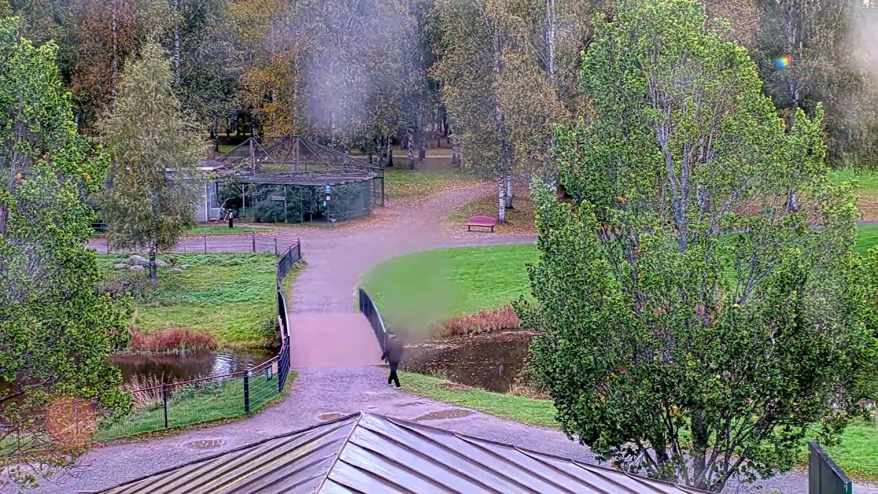 Kirjurinluoto Island