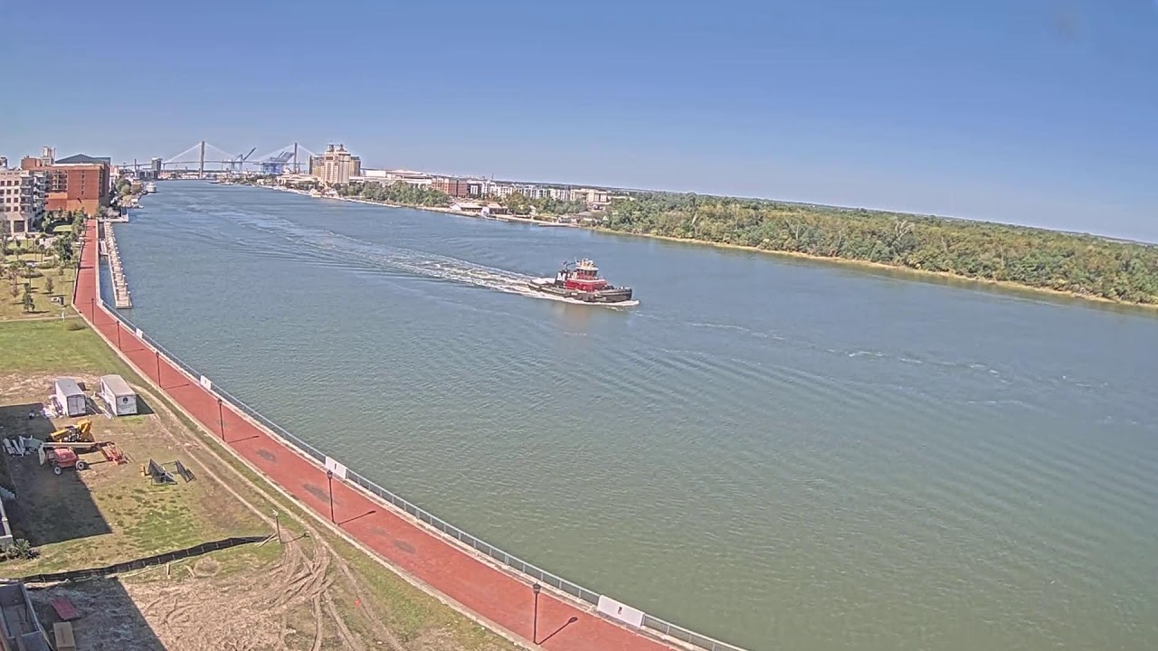 Blick auf den Savannah River