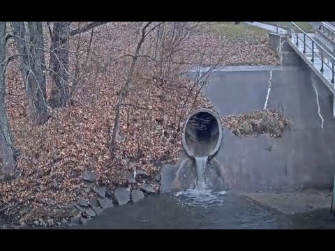Веб-камера Дак-Крик