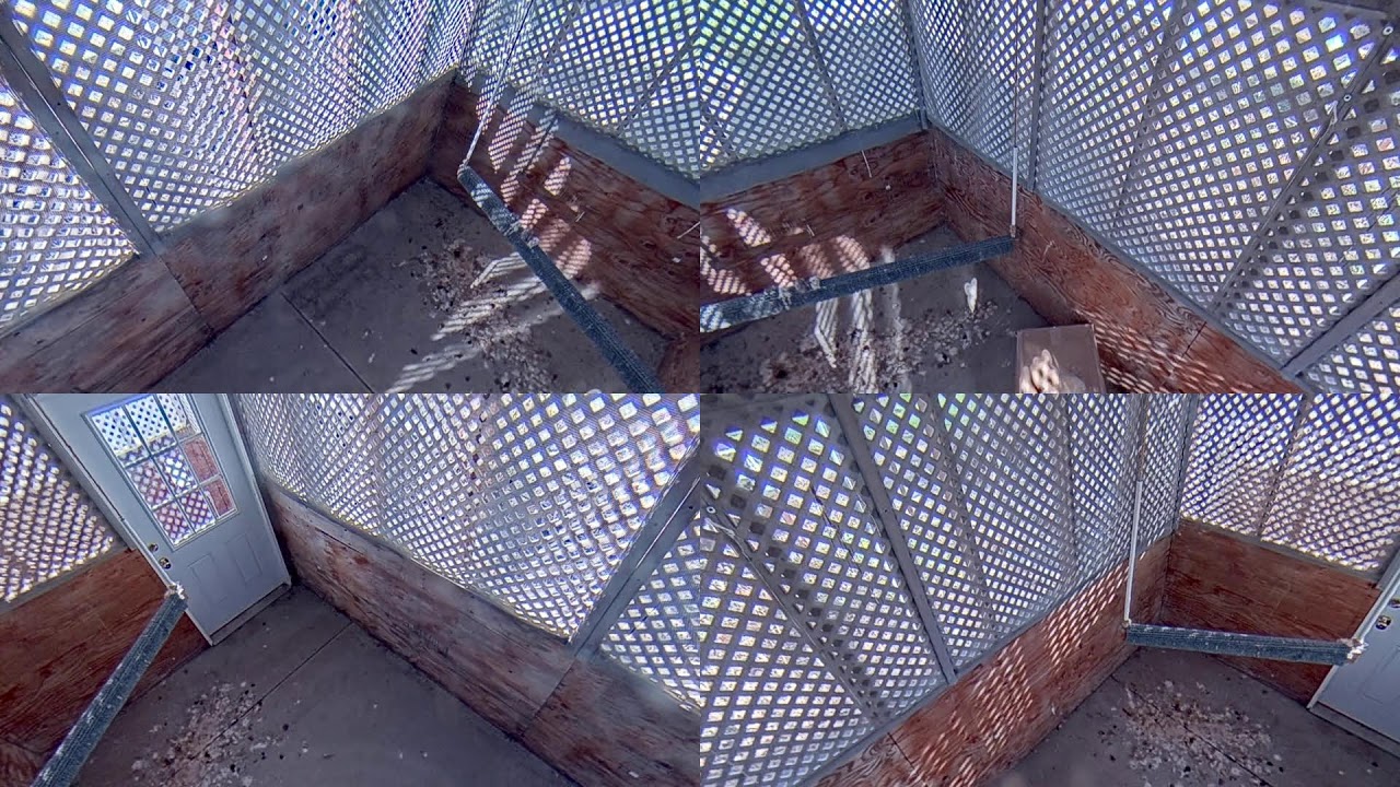 Вольер для птиц CART