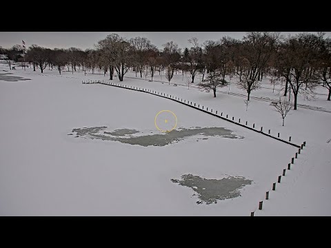 Гавань Нины