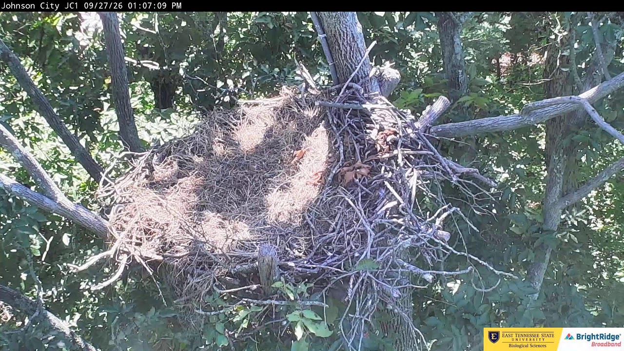 ETSU Eagle Nest, Johnson City