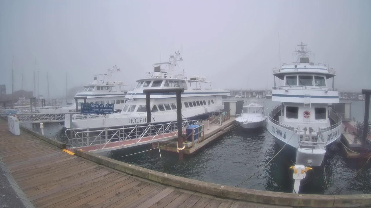 Причал Dolphin Fleet Whale Watch в Провинстауне
