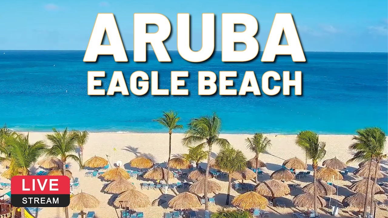 Eagle Beach webcam, Costa Linda hotel