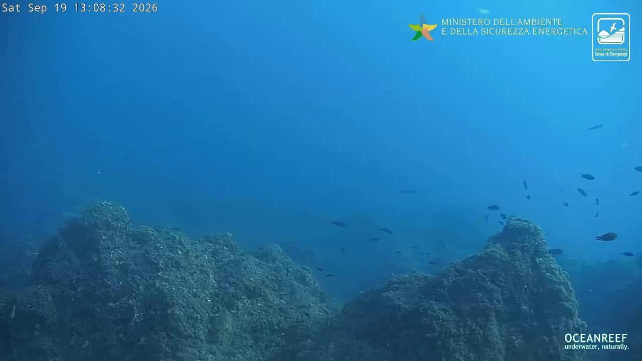 Подводная камера острова Берджеджи