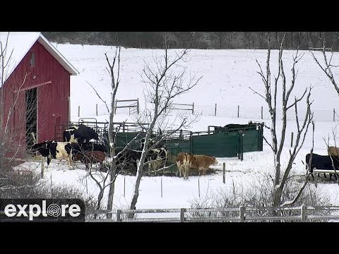 Pasture at Farm Sanctuary