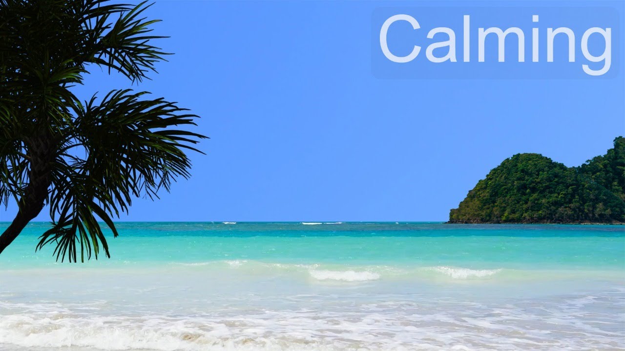 Tropical Beach by the Ocean