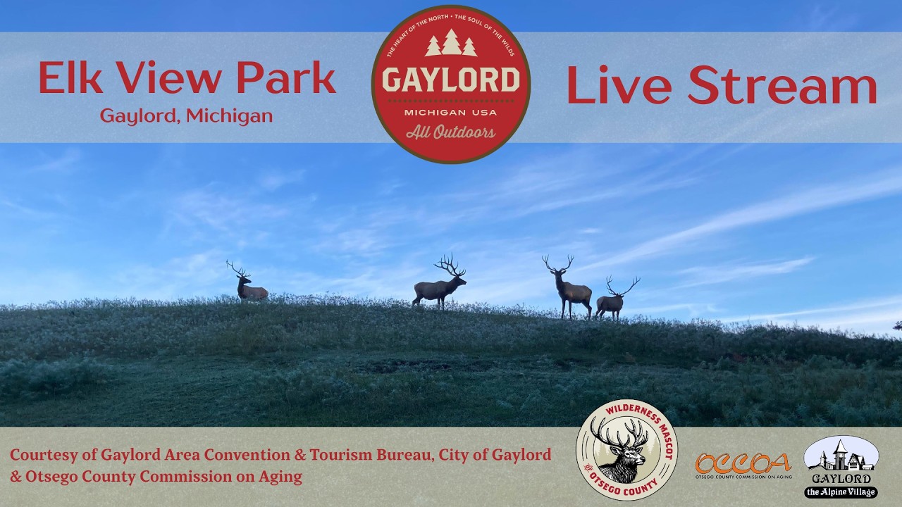 Camera with a view of deer in Gaylord