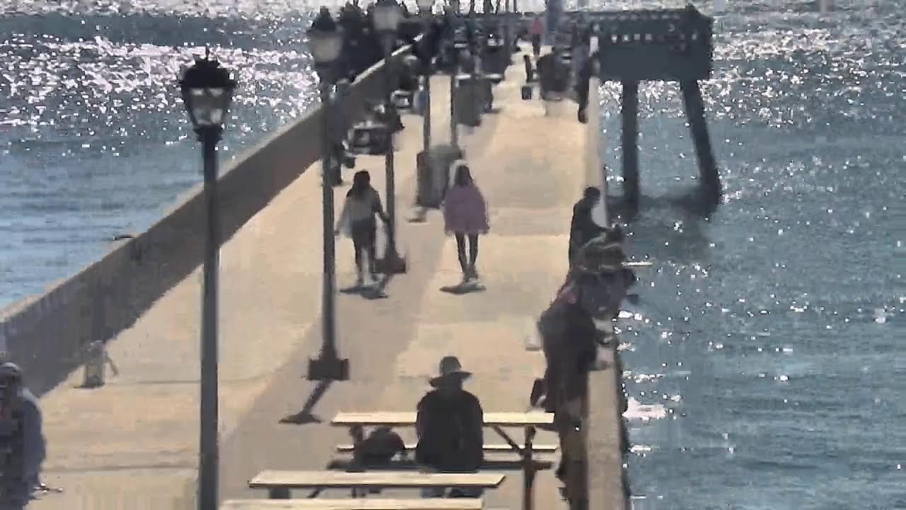 Johnnie Mercer's Fishing Pier, South View