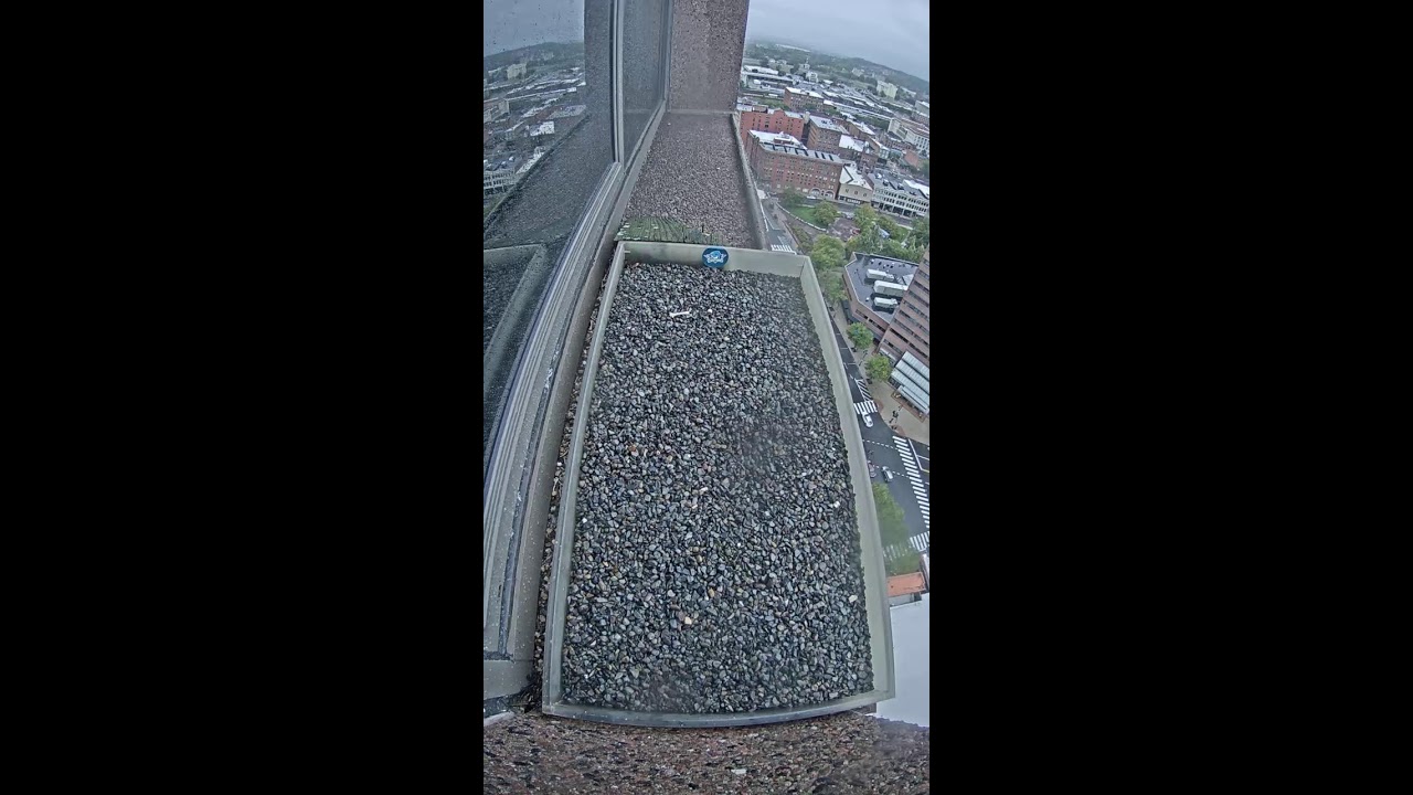 WoodmenLife Tower, Омаха