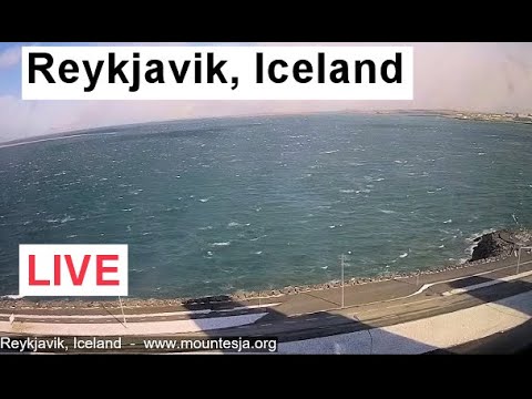 Гавань Мидбакки, Рейкьявик