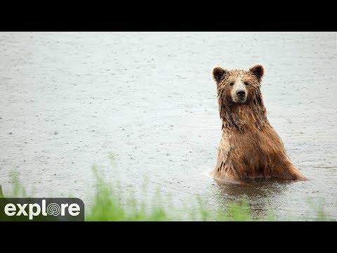 Река Брукс, национальный парк Катмай