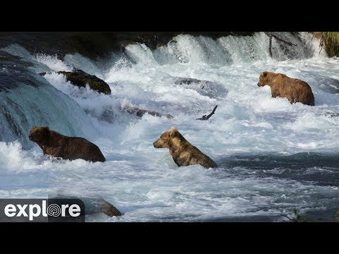 Рифлз в национальном парке Катмай