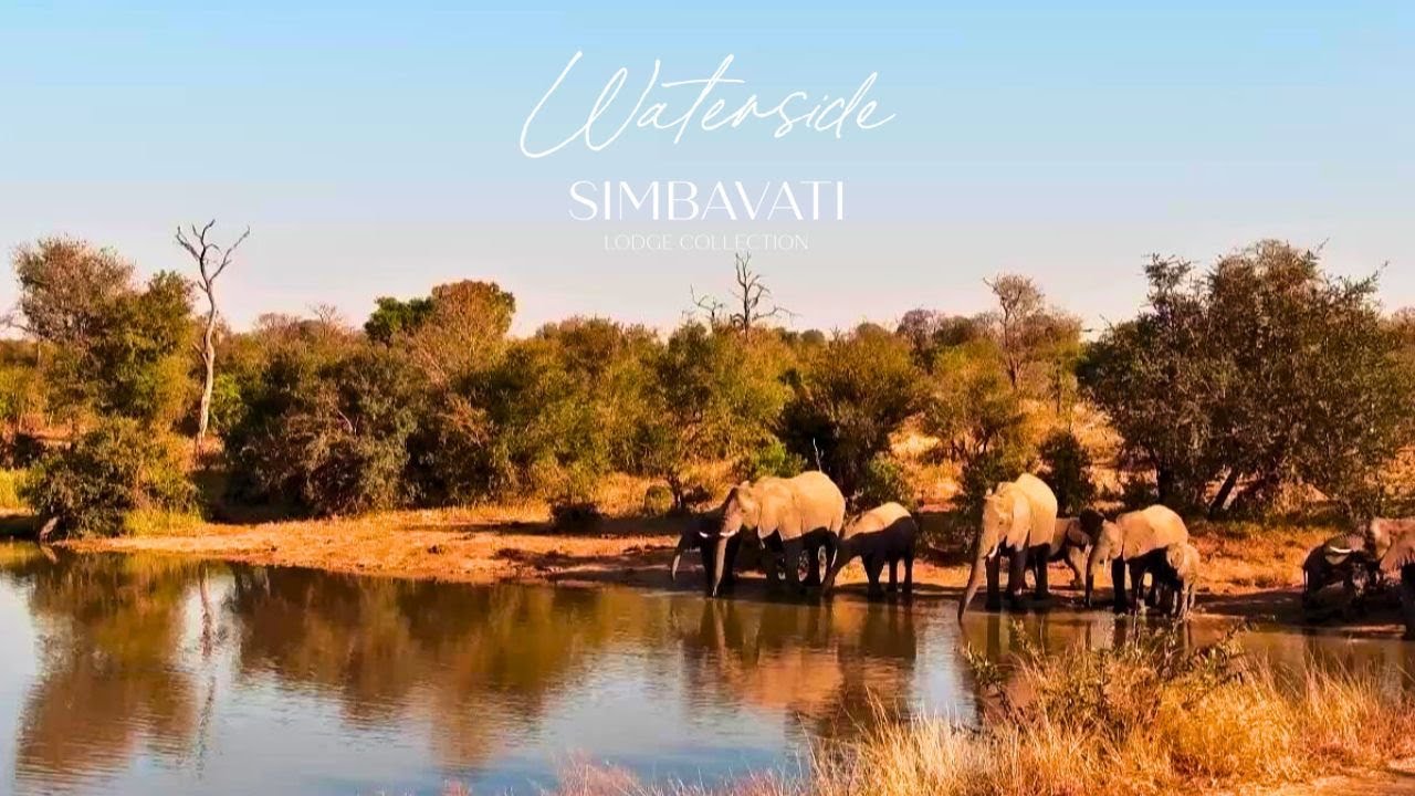 Waterhole in Simbavati Reserve