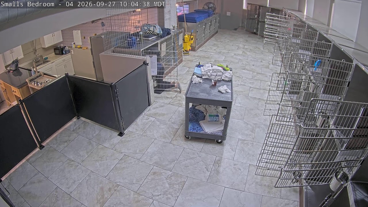 Спальня маленьких собак