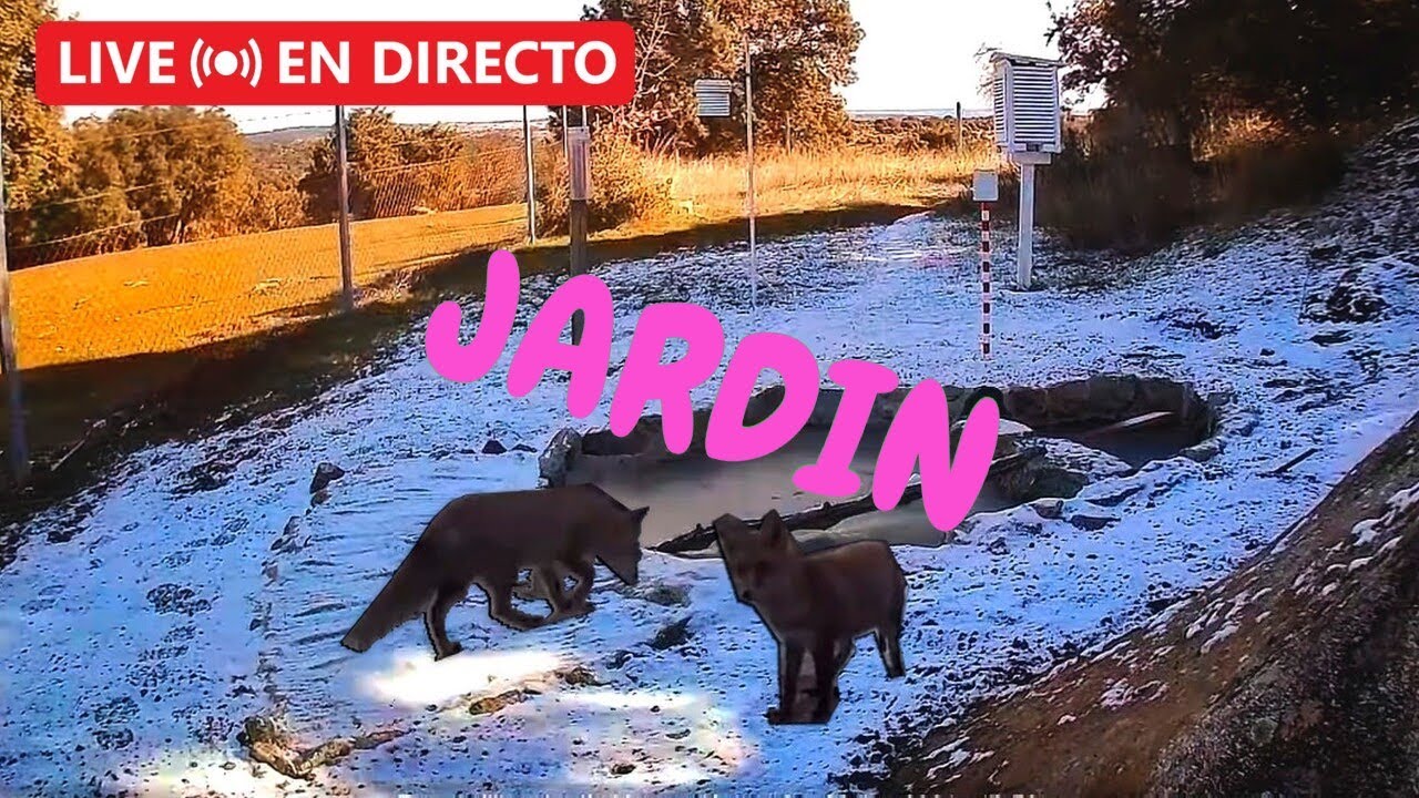 Метеорологический сад Фреснедильяс