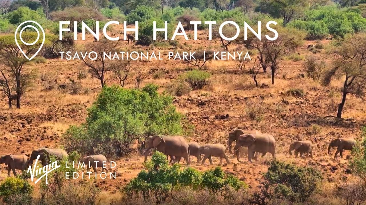 Водопой у лодж Finch Hattons, Цаво
