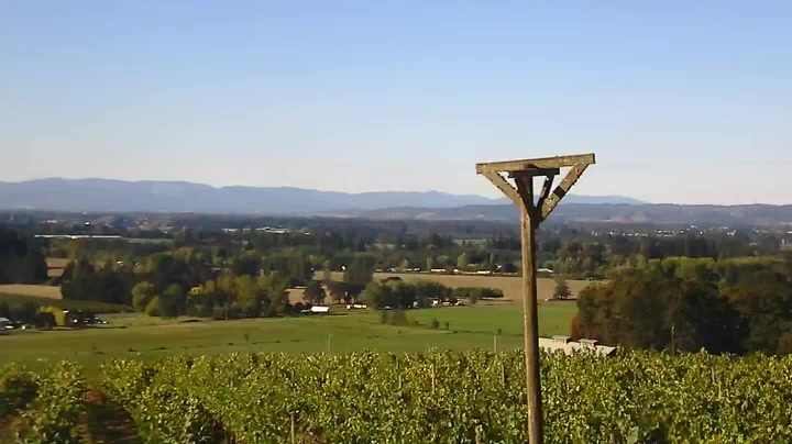 Stoller Family Estate, Дейтон