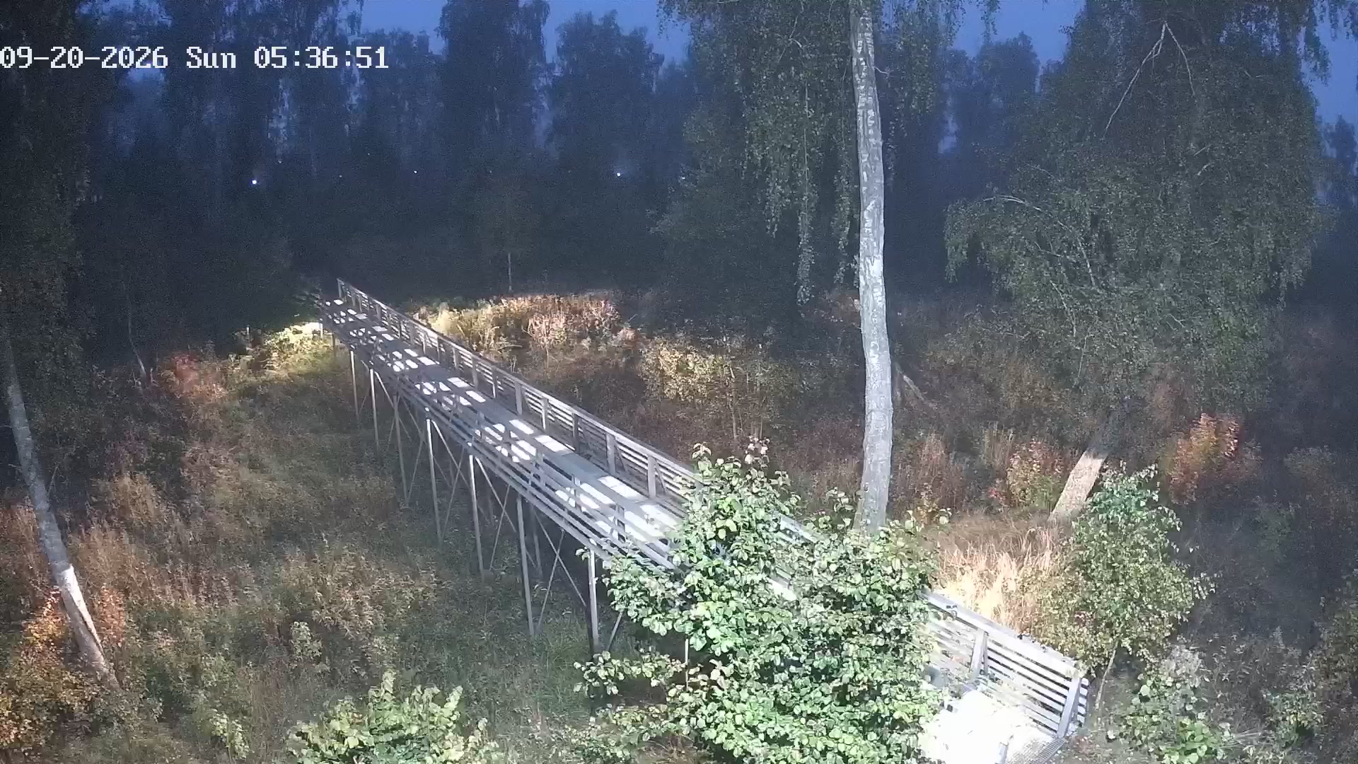 Мост улицы Спиридонова