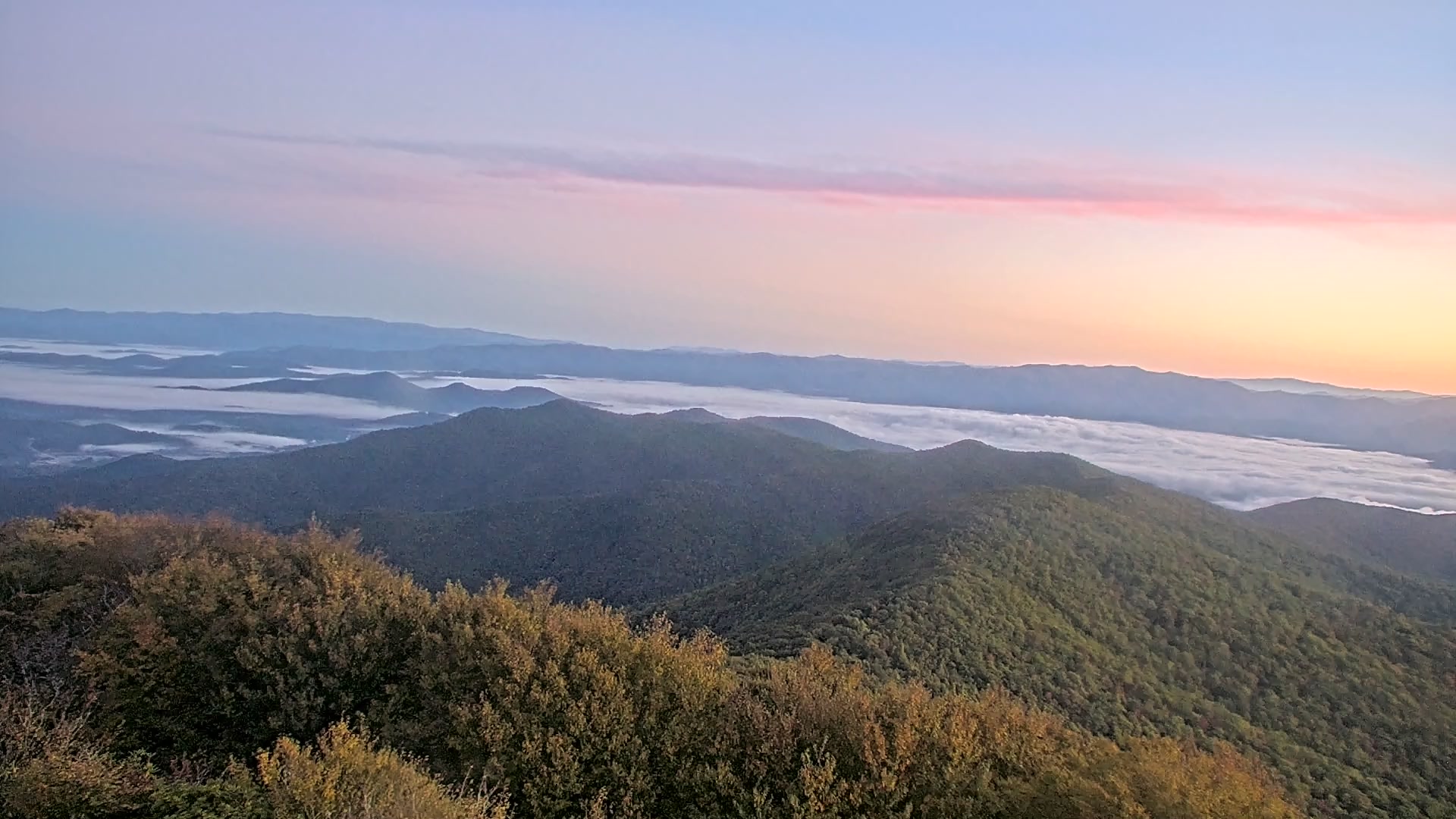 Brasstown Valley Resort, Янг Харрис