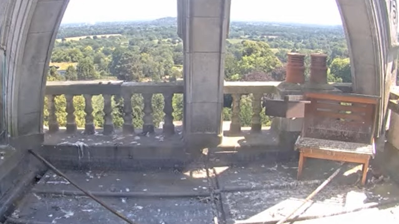 Сапсаны Роял Холлоуэй