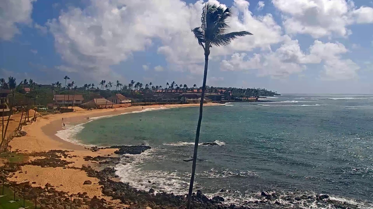 Веб-камера пляжа Кауаи, отель Sheraton Kauai Resort