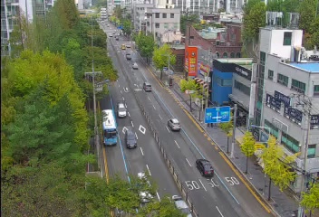 Yuli Station Area