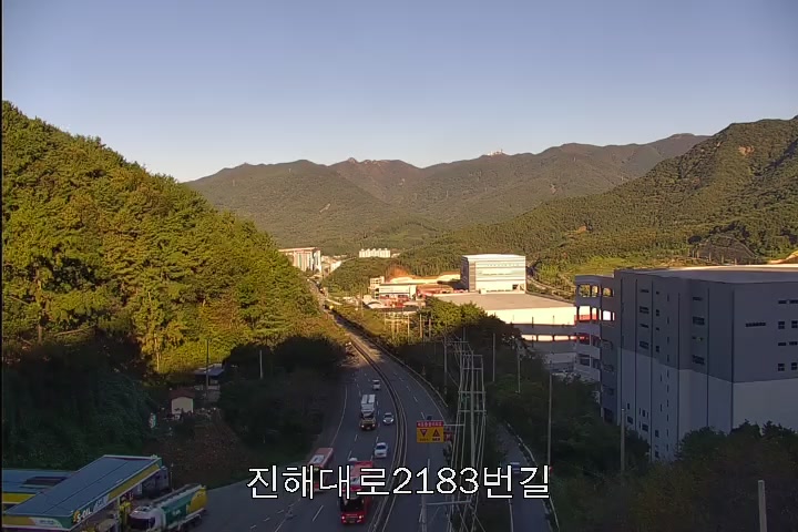 Jinhae Boulevard 2183