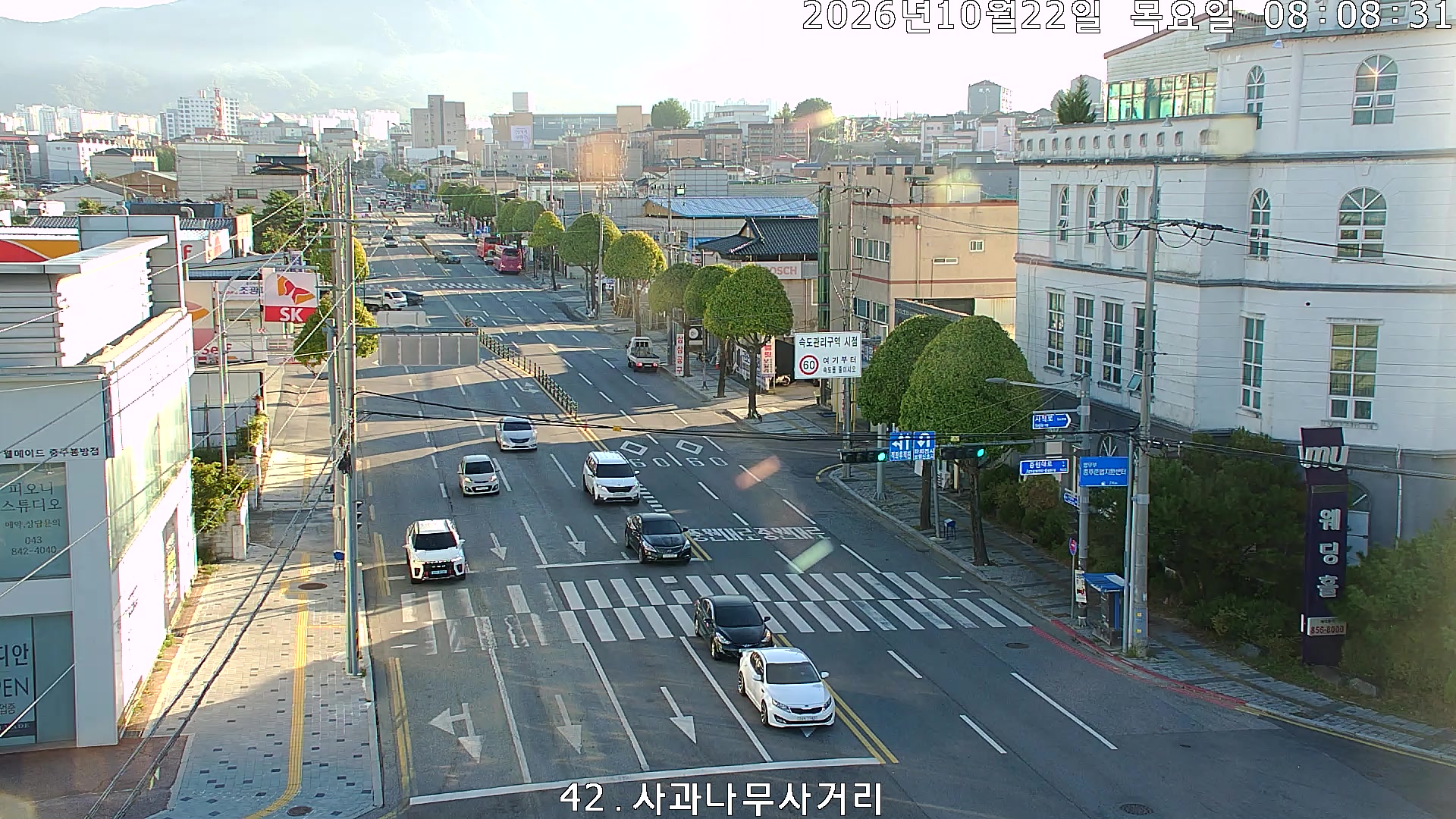 Apple Tree Intersection, Chungju