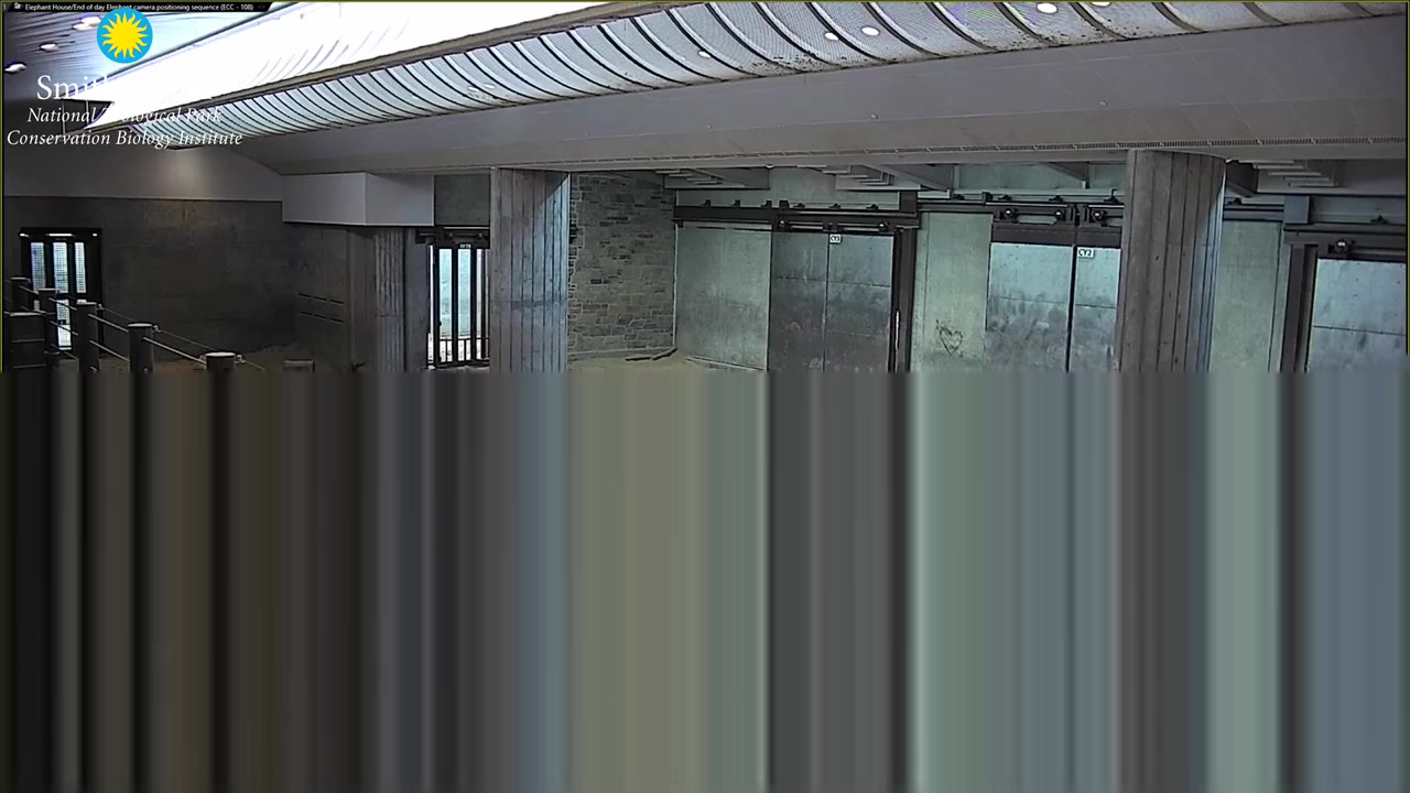 Smithsonian Zoo - Elephant Cam