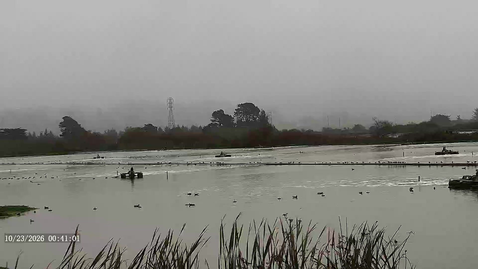 Humboldt Bay, Arcata, CA