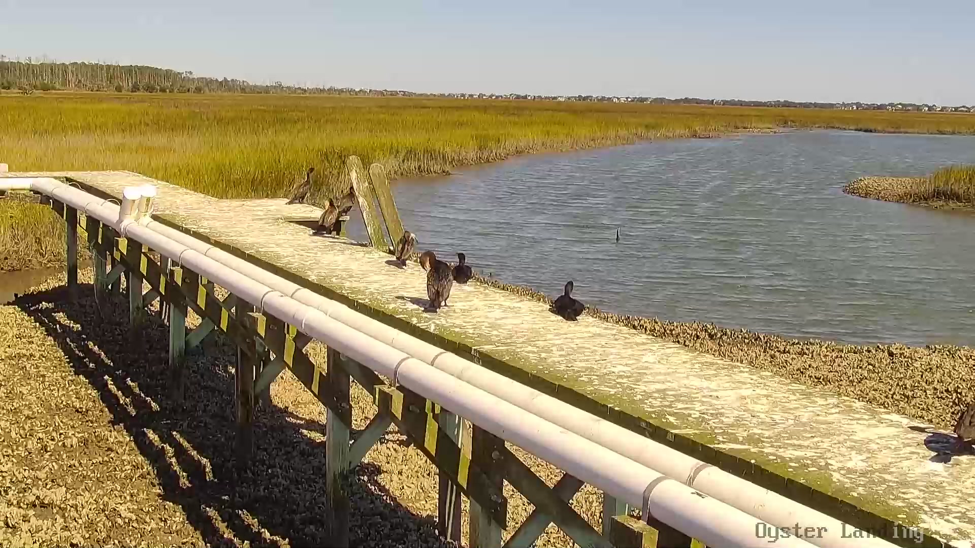 North Inlet-Winyah Bay  National Estuarine Research Reserve Dock, Georgetown, SC