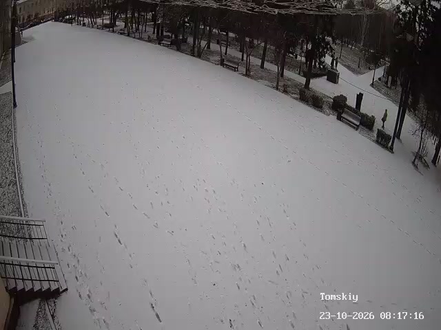 Веб-камера на Томском переулке
