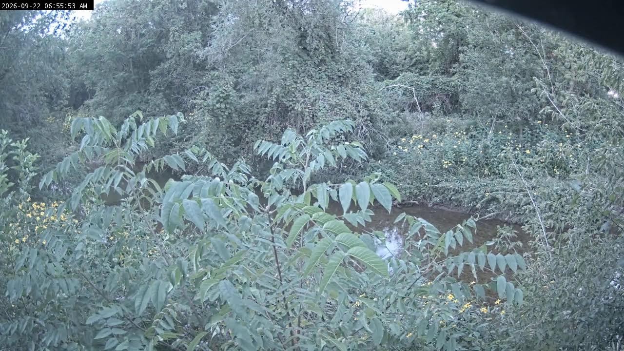 Веб-камера Река Линд-Крик