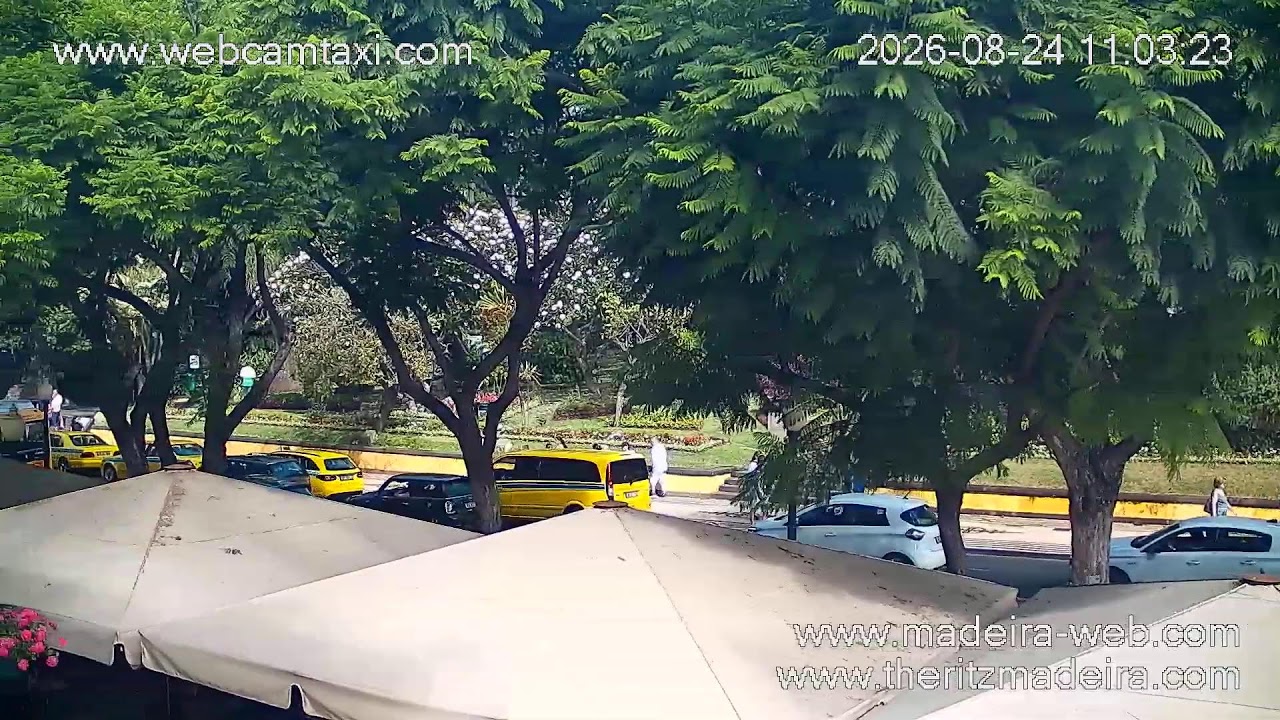Авенида Арриага в Фуншале